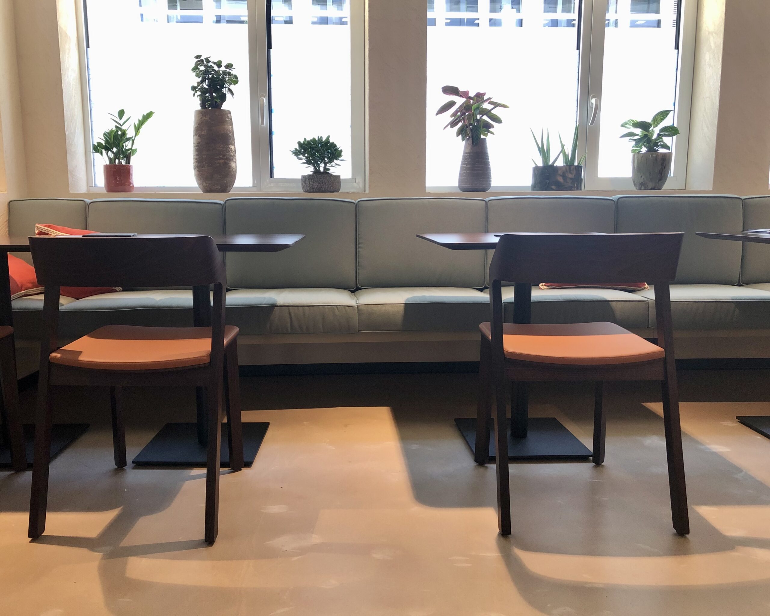 38ECA342-A2A9-43EE-9379-5253804638FF_1_201_a